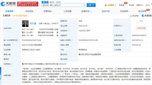 吉利科技重慶公司注銷始末 成立不足一年，新能源原動設備銷售業務何去何從？